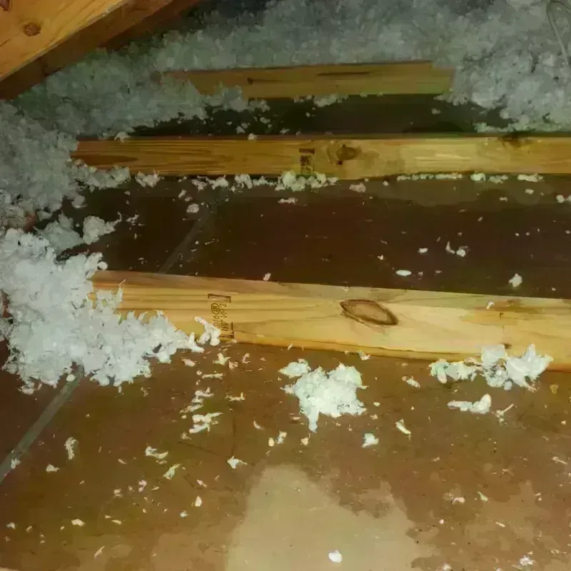 Attic Water Damage in Monument Beach, MA