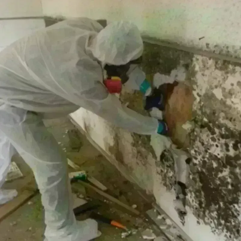 Mold Remediation and Removal in Monument Beach, MA